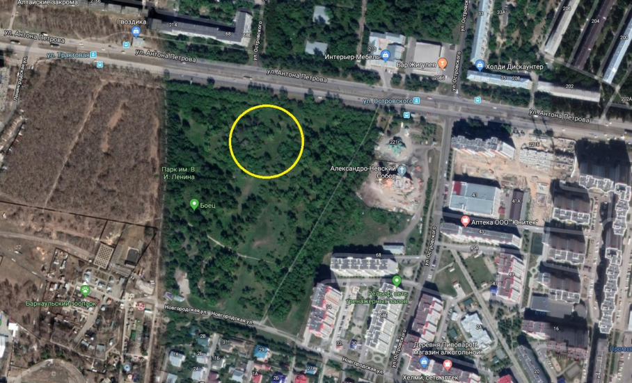 Градсовет Барнаула запретил краевому Минспорта строить физкультурный комплекс в парке