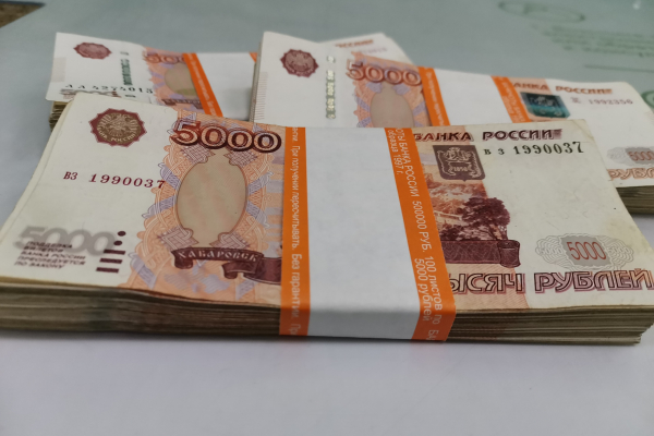 Директора детского санатория в Рубцовске обвинили в хищении денег 